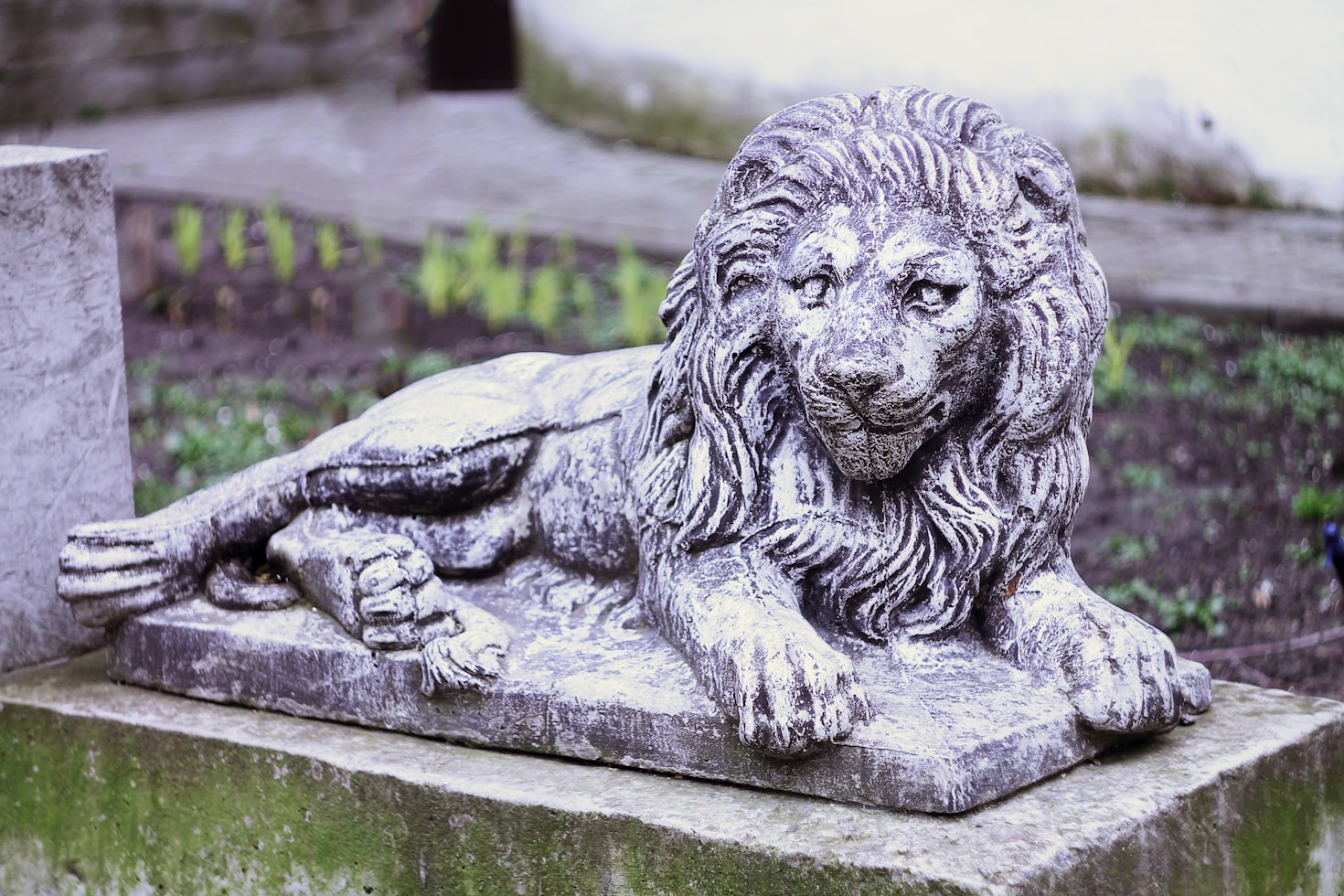 Garden Sculptures: Adding Charm to Outdoor Spaces